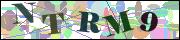 Captcha word