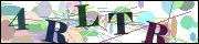 Captcha word