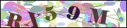 Captcha word