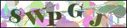Captcha word
