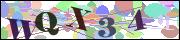 Captcha word