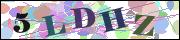 Captcha word