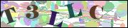 Captcha word