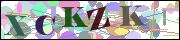Captcha word