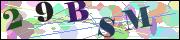 Captcha word