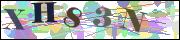 Captcha word