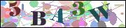 Captcha word