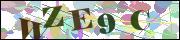 Captcha word