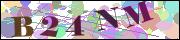 Captcha word