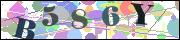 Captcha word