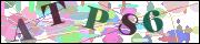 Captcha word