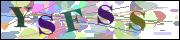 Captcha word