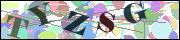Captcha word