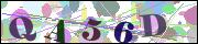 Captcha word