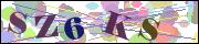 Captcha word