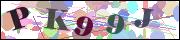 Captcha word