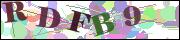 Captcha word