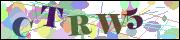 Captcha word