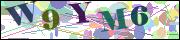 Captcha word