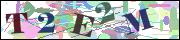 Captcha word