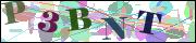 Captcha word