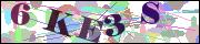 Captcha word