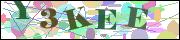 Captcha word