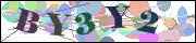 Captcha word