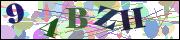 Captcha word