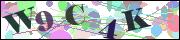 Captcha word