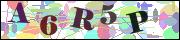 Captcha word