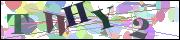 Captcha word