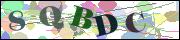 Captcha word