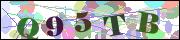 Captcha word