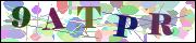 Captcha word