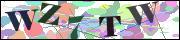 Captcha word