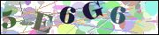 Captcha word