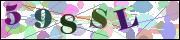 Captcha word