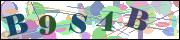Captcha word