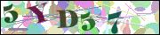 Captcha word