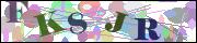 Captcha word