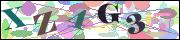 Captcha word