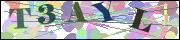 Captcha word