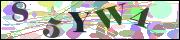 Captcha word
