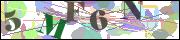 Captcha word