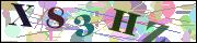 Captcha word
