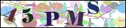 Captcha word