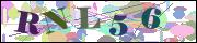 Captcha word