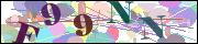 Captcha word