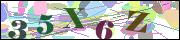 Captcha word